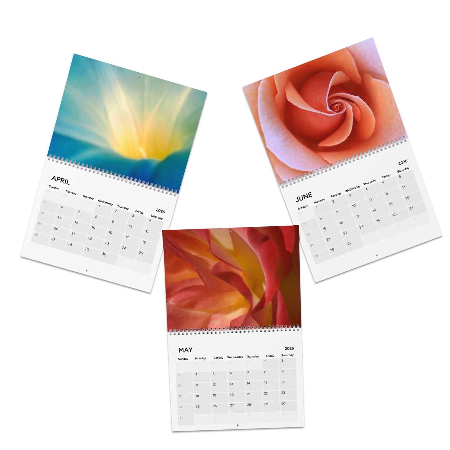 e. g. singer Artistry with Plants Calendar (2026)