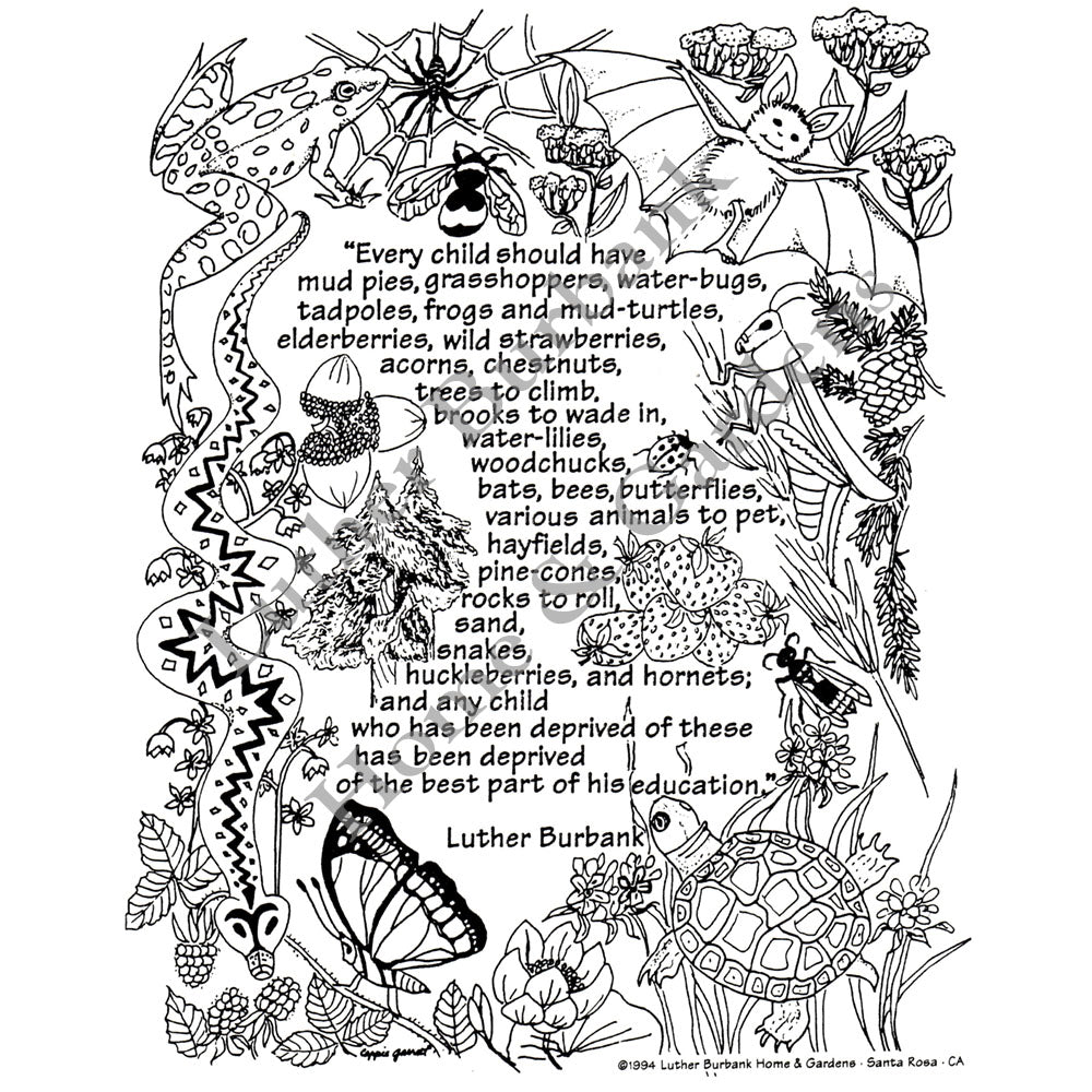 Quote Sheet
