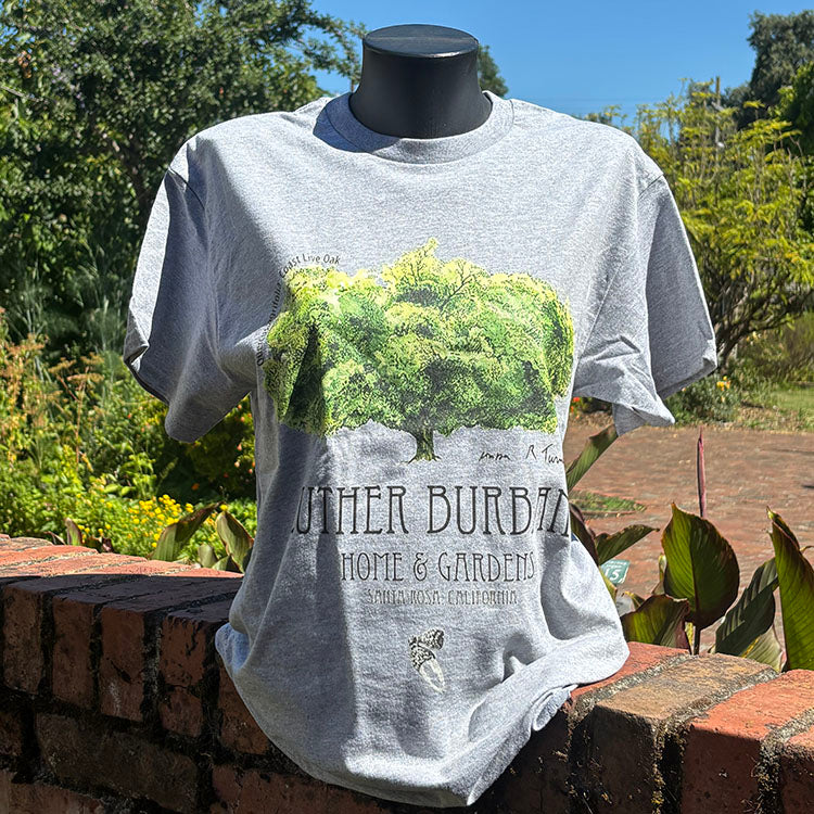 Oak Tree Tee