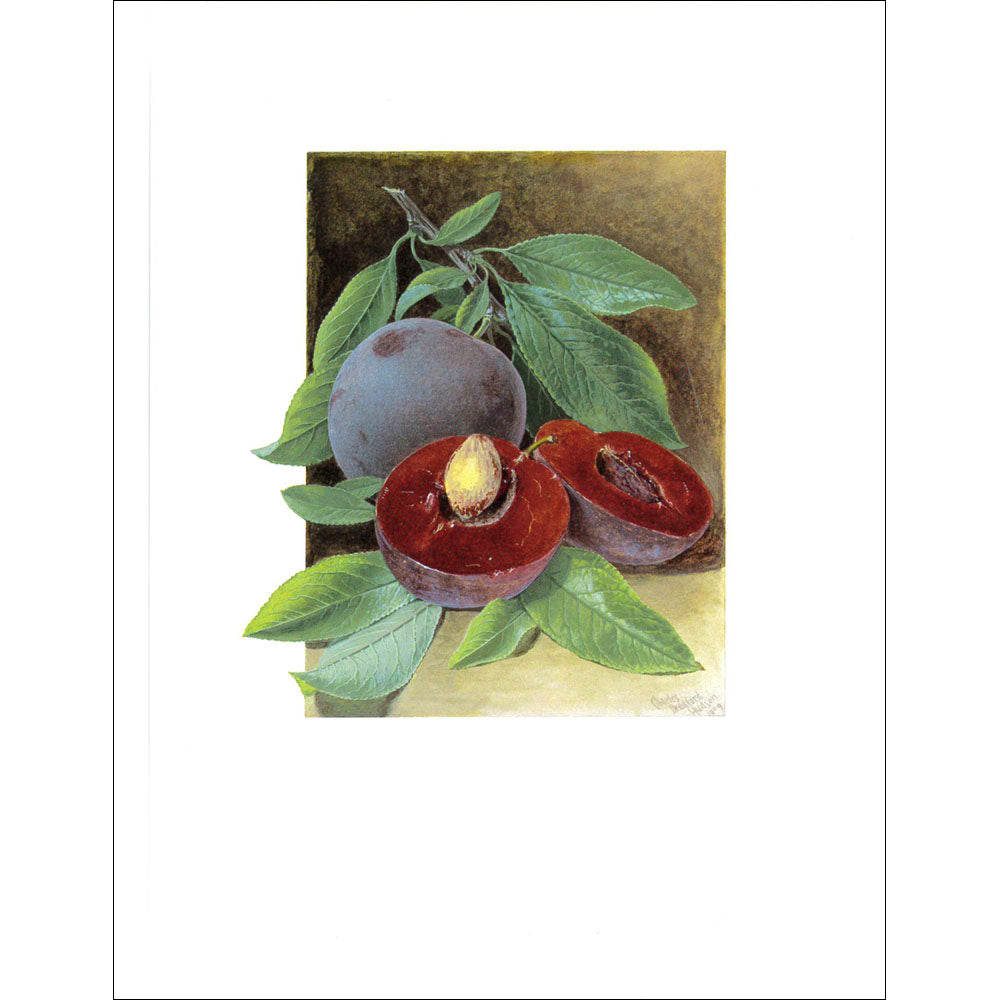 Fruit Print