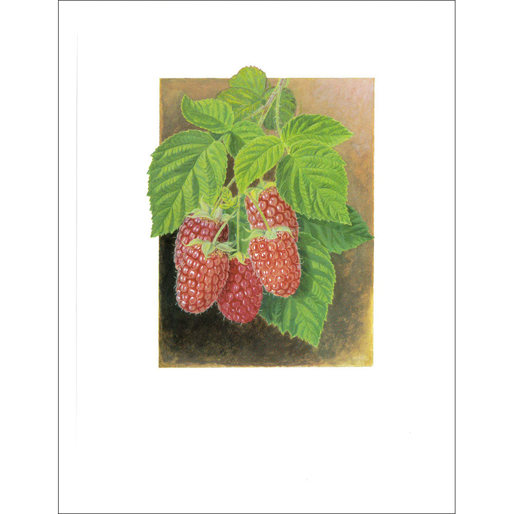 Fruit Print
