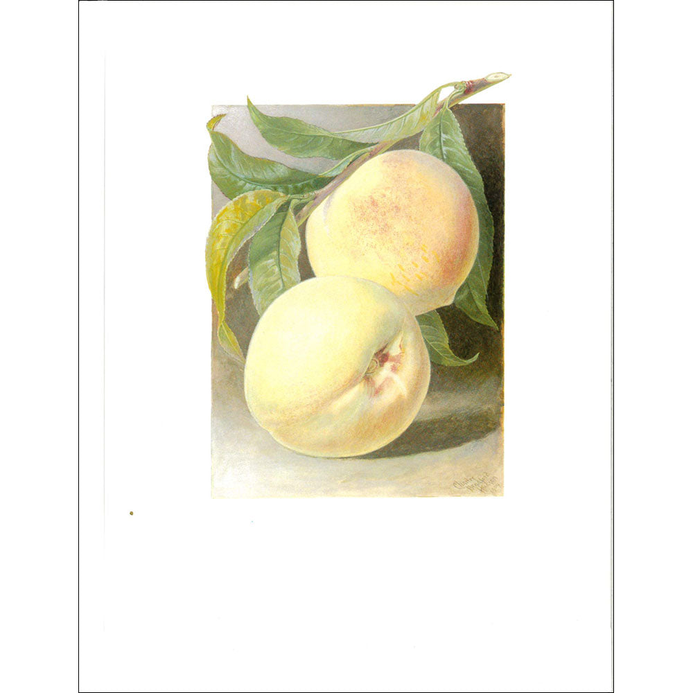 Fruit Print