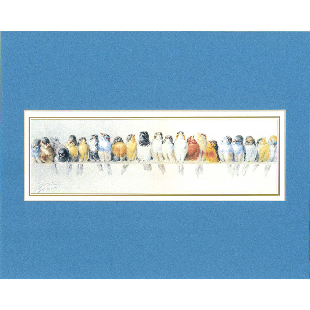 Matted Bird Print