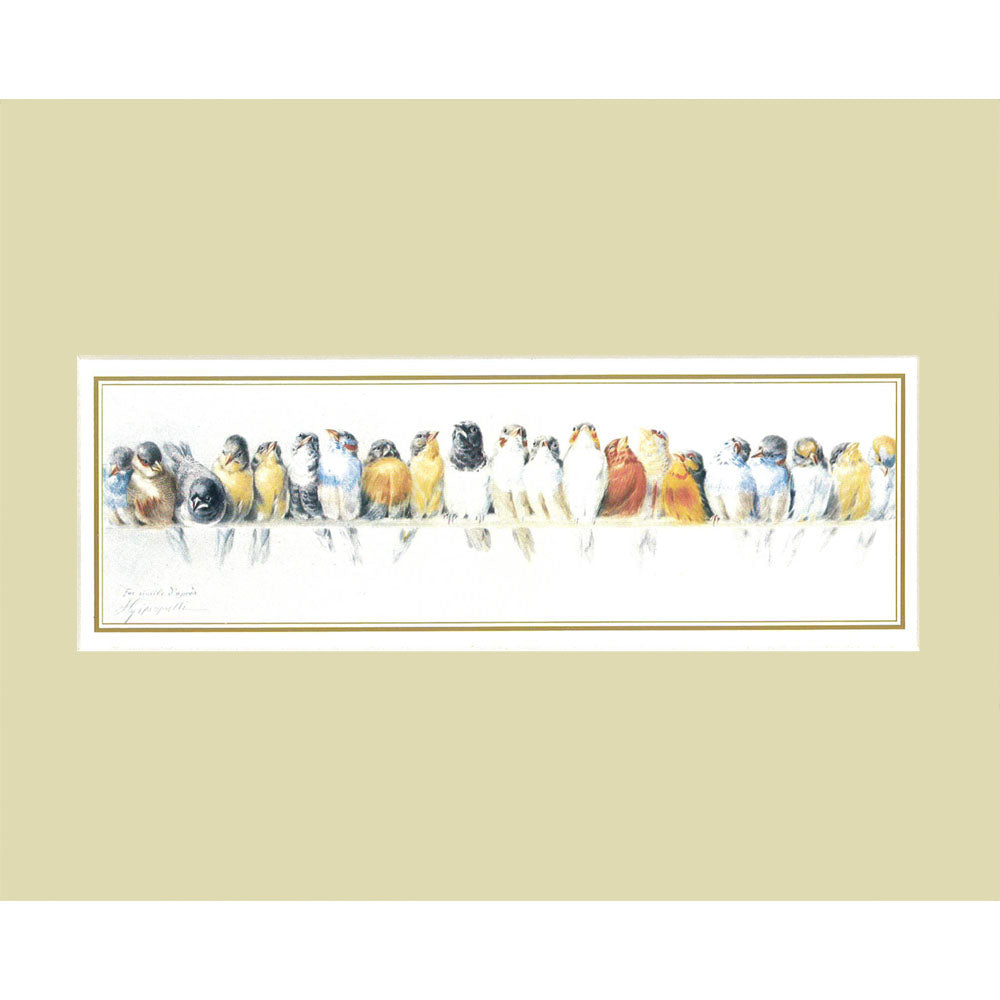 Matted Bird Print